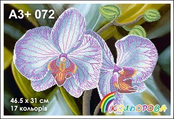 КЛВ-072 (А3+) Белая орхидея. Схема для вышивки бисером ТМ "Кольорова"