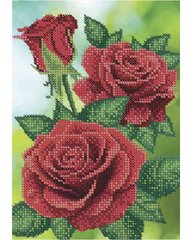 А5-Д-235 Красные розы. Схема для вышивки бисером ТМ Acorns