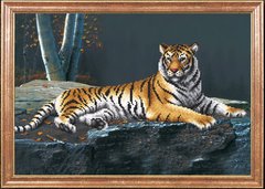 Нічний тигр, Схема