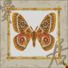 ФПК-3219 Африканські метелики Тизанія агрипіну. Схема для вишивання бісером Фенікс