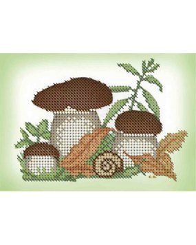 А6-Д-005 Гриби. Схема для вишивання бісером ТМ "Acorns", Схема