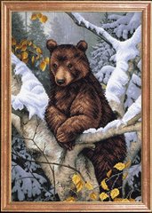 Медведь на дереве, Схема