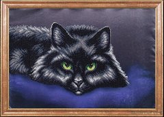 Черный кот, Схема