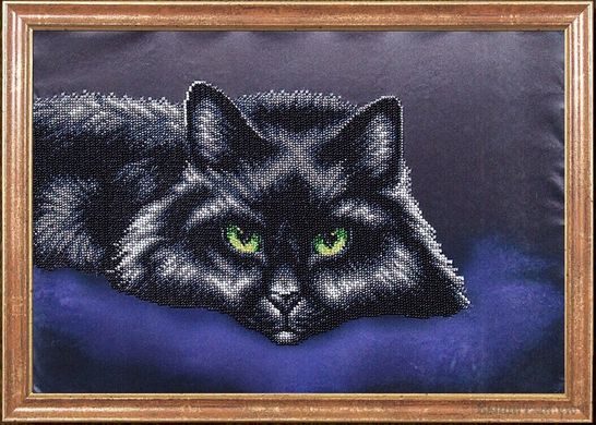 Черный кот, Схема