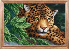 Леопард на відпочинку, Схема