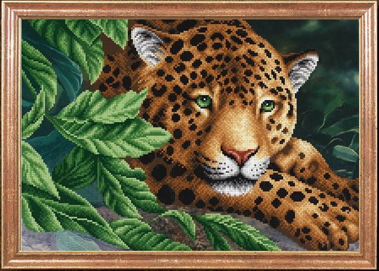 Леопард на отдыхе, Схема