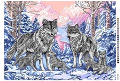 А3-18-095 Волки зимой. Канва для вышивки нитками Вышиванка