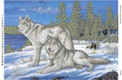 Волки на снегу (част. Выш.), Схема