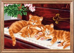 Кошенята на піаніно, Схема