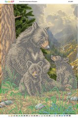 Семья медведей в лесу, Схема