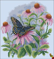 ФЧК-3250 Метелик на квітах ехінацеї. Схема для вишивання бісером Фенікс