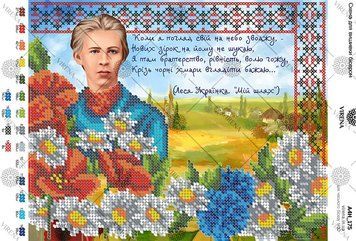 , Схема