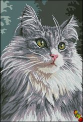 ФПК-2039 Портрет кошки. Схема для вышивки бисером Феникс