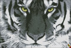 ФПК-2009 Взгляд тигра. Схема для вышивки бисером Феникс