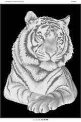 Тигр (част. виш.), Схема