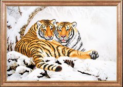 Тигры зимой, Схема
