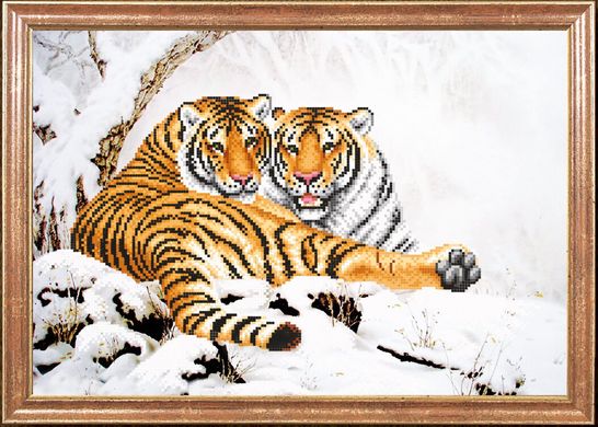 Тигры зимой, Схема