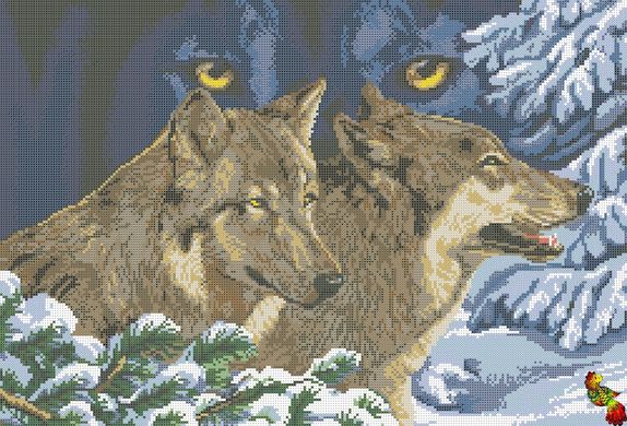 ФПК-2023 Взгляд волка. Схема для вышивки бисером Феникс