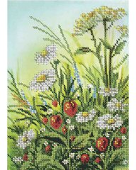 А5-Д-269 Поляна цветов. Схема для вышивки бисером ТМ Acorns