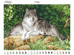 ТТ001пн5236 Схема картини Пара вовків для вишивки бісером на тканині, Схема
