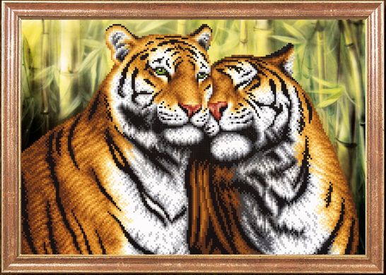 Пара тигров, Схема